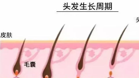 臨沂瑞麗美容醫(yī)院專業(yè)嗎？醫(yī)院的醫(yī)生水平如何？地址在哪？口碑怎樣？