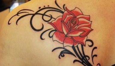 中國十大乳房整形醫(yī)院曝光，北京協(xié)和醫(yī)院實力一流霸榜