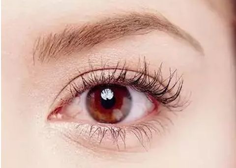 廈門哪家眼部整形醫(yī)院比較靠譜？一線醫(yī)院、技術(shù)、行業(yè)翹楚等值得關(guān)注