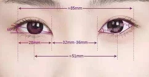 胸部不同尺寸和下垂如何解決？自身脂肪豐胸能夠增加乳房大小嗎？