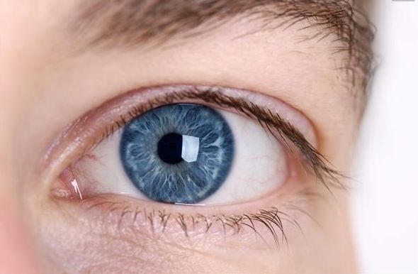 北京美萊王旭東，鼻部整形效果及價(jià)格解析