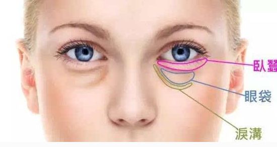 探尋溫州卓越整形科專家、知名項目與收費一覽