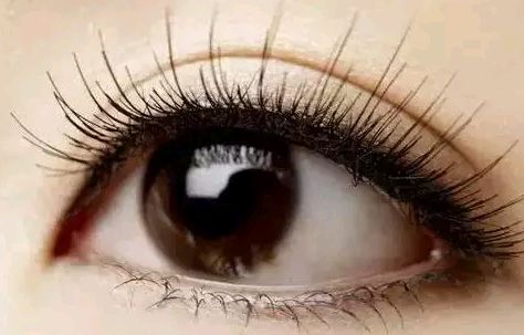 國內2012年植發(fā)行業(yè)優(yōu)秀品牌浮現(xiàn)，碧蓮盛、雍禾、大麥微針脫穎而出