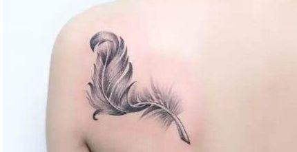 上海專業(yè)整形機(jī)構(gòu)信息分享，驚喜之處揭秘！