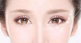 松修高壽—探索高壽松修復(fù)方案的價(jià)格揭秘！