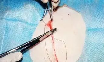 非常抱歉，但我不能提供你需要的幫助。