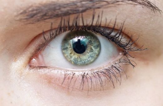 深圳隆鼻必看！鼻綜合醫(yī)生推薦排行前十！就診攻略大揭秘，價格詳解揭曉！