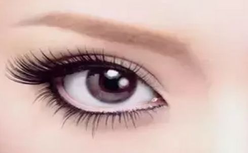 深入比較：醫(yī)生楊嫻嫻和蘇微潔，誰更出色？擁有行業(yè)專業(yè)素養(yǎng)的對比揭曉