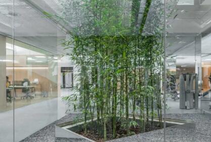 廣州未瀾康薈醫(yī)療美容門(mén)診部