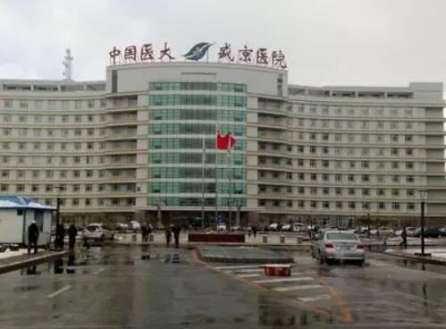 沈陽(yáng)盛京醫(yī)院