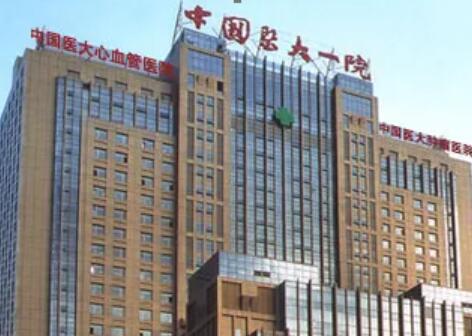 中國(guó)醫(yī)科大學(xué)附屬第一醫(yī)院(中國(guó)醫(yī)大一院)整形外科