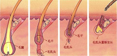 杭州最受歡迎的整形醫(yī)院盤點(diǎn)：維多利亞第一，華研、美立方在榜！