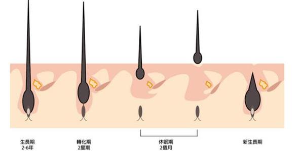南京顱面部外傷骨折修復(fù)整形醫(yī)院口碑好的有哪些？2023南京顱面部外傷骨折修復(fù)醫(yī)療整形醫(yī)院排行榜TOP10年終