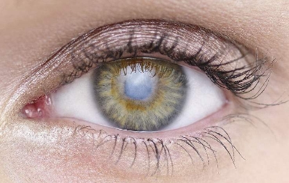 首家公開(kāi)評(píng)選！2023年新鄉(xiāng)市值得信賴的鼻孔整形醫(yī)院排行榜大揭曉！