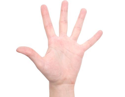 上海耳廓全復(fù)合組織移植知名醫(yī)院榜單前五：頂尖耳部整形醫(yī)院（公立為主）最新推薦（附詳細(xì)名單）