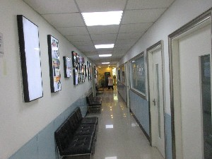 上海明珠醫(yī)院自體軟骨隆鼻有何優(yōu)勢？可以維持多久？