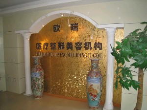 上海愛美整形假體隆鼻效果如何？價(jià)格貴嗎？