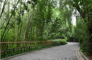 北京海醫(yī)悅美整形面部填充適應(yīng)癥有哪些？多久消腫？