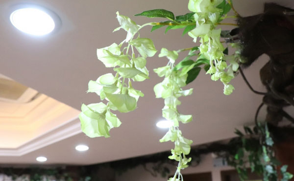 上海清沁醫(yī)療美容門診部