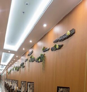 東北國際醫(yī)院副乳切除有何優(yōu)點？術(shù)后注意事項？