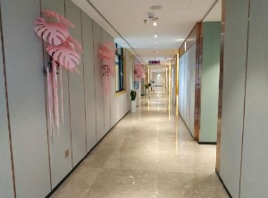 保定藍山醫(yī)療美容醫(yī)院做開眼角怎么樣？