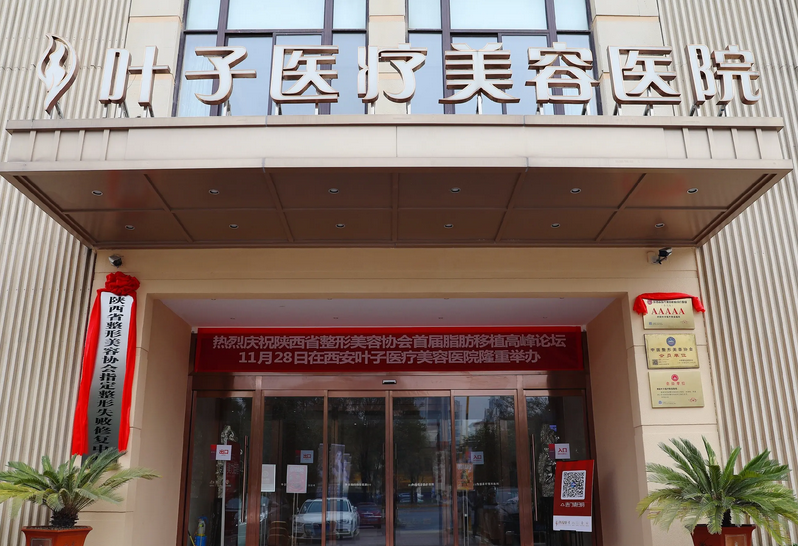 西安葉子醫(yī)療美容醫(yī)院.png