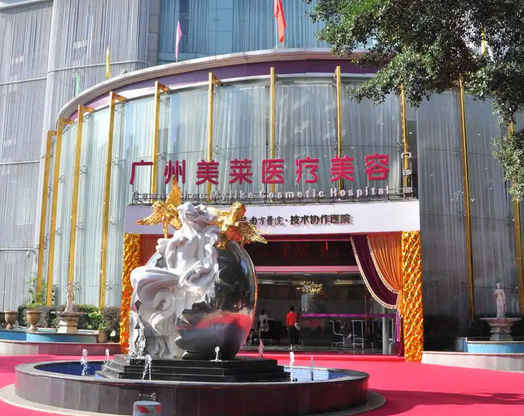 廣州美萊醫(yī)療美容門診部.png