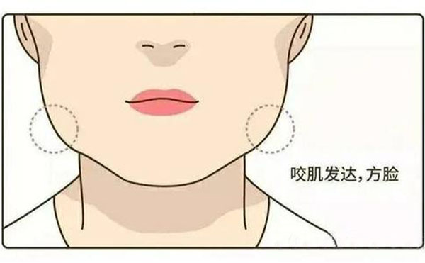 為什么咬肌會肥大？