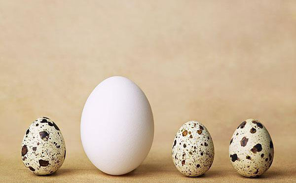 雞蛋祛斑有用嗎？雞蛋祛斑的正確方法？