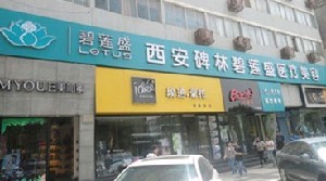西安碧蓮盛植發(fā)醫(yī)療美容診所